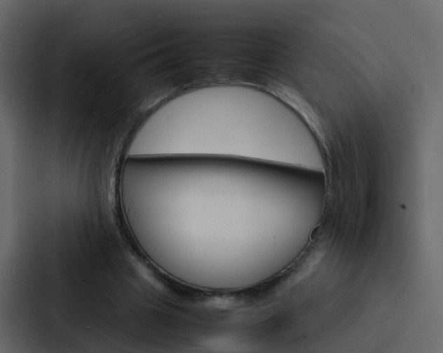 X0000088130441200705141000