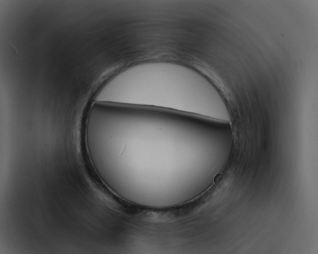 X0000088130442200705141000