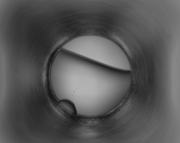 X0000088130443200705141000