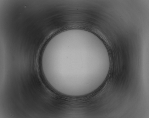 X0000088130444200705141000