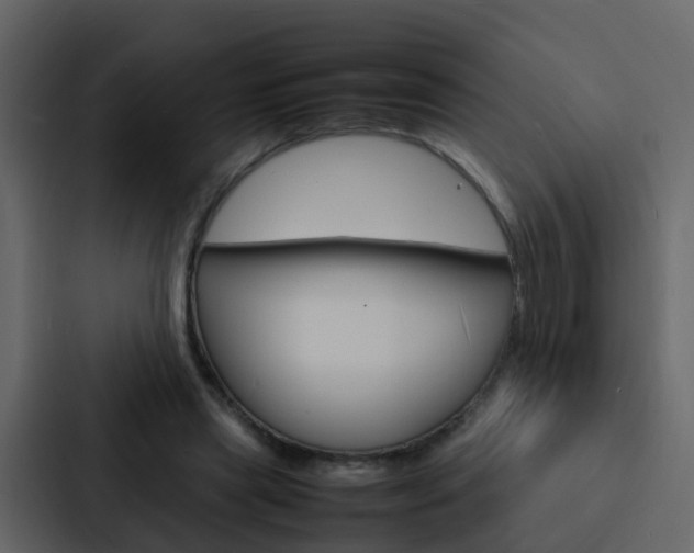 X0000088130445200705141000