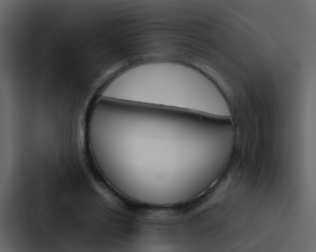 X0000088130446200705141000