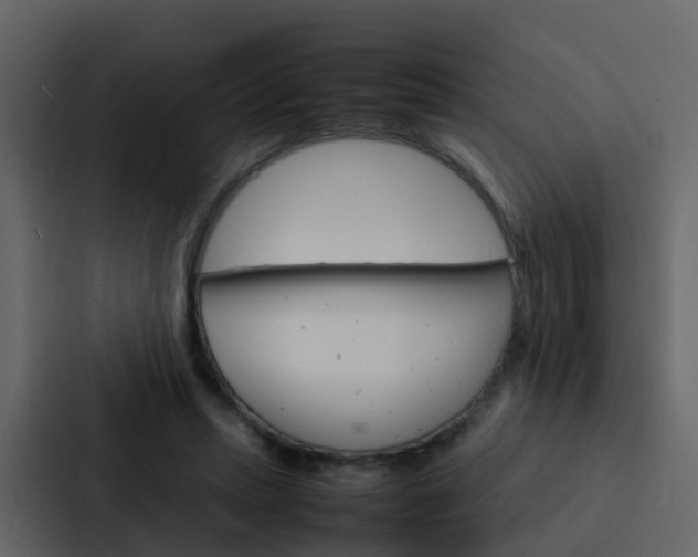 X0000088130447200705141000