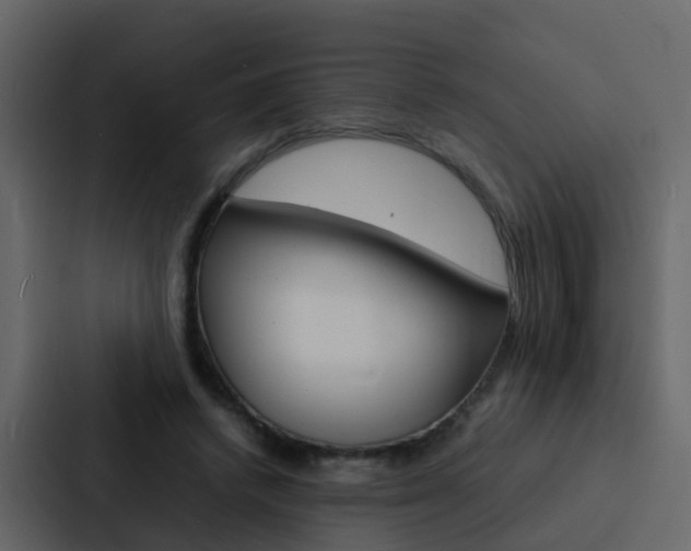 X0000088130448200705141000