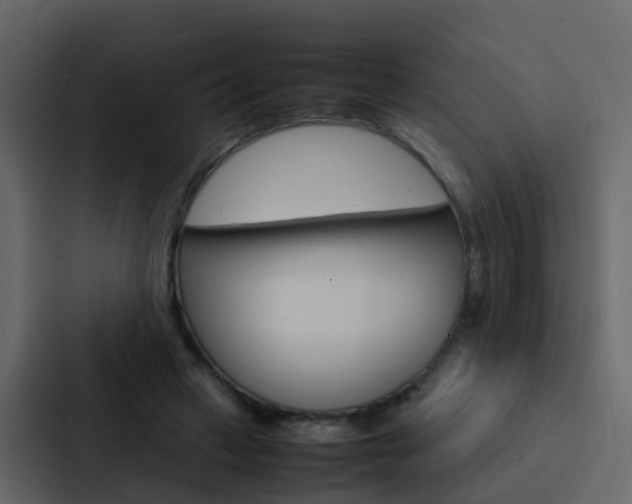X0000088130449200705141000