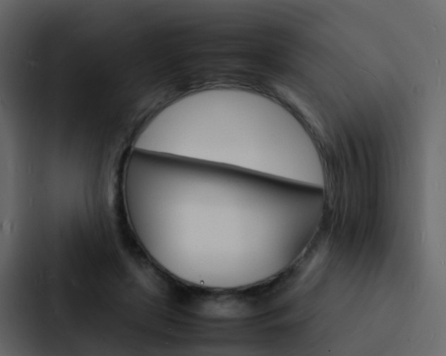 X0000088130451200705141000