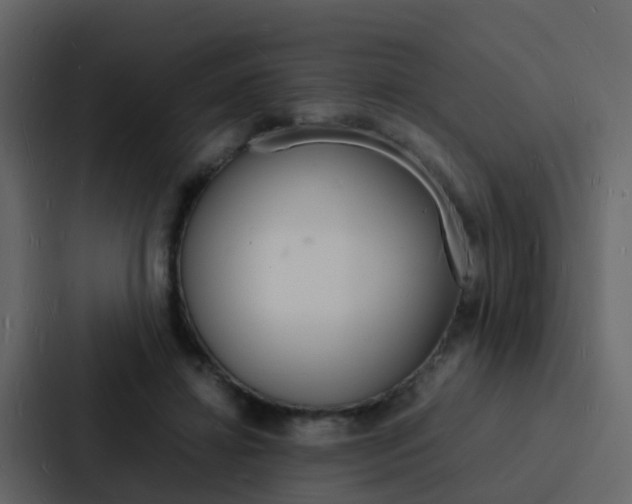 X0000088130452200705141000