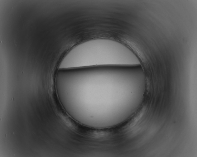 X0000088130453200705141000