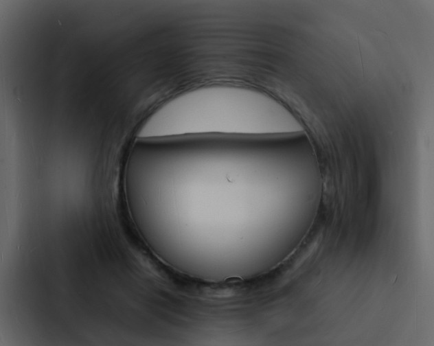 X0000088130454200705141000