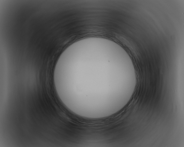 X0000088130456200705141000