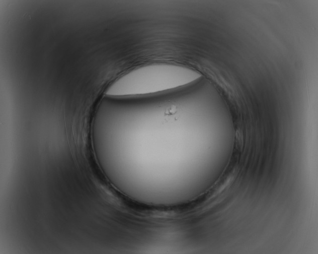 X0000088130458200705141001