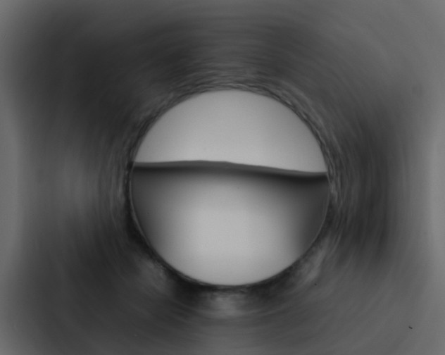 X0000088130462200705141001