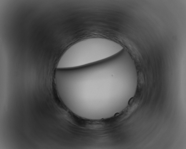 X0000088130463200705141001