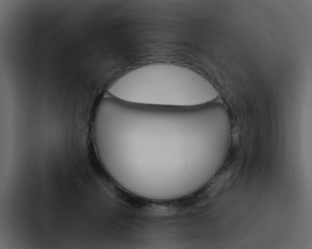 X0000088130464200705141001