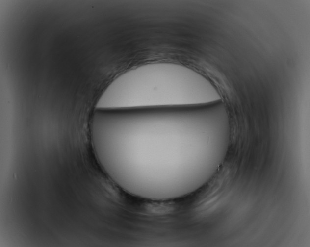 X0000088130465200705141001