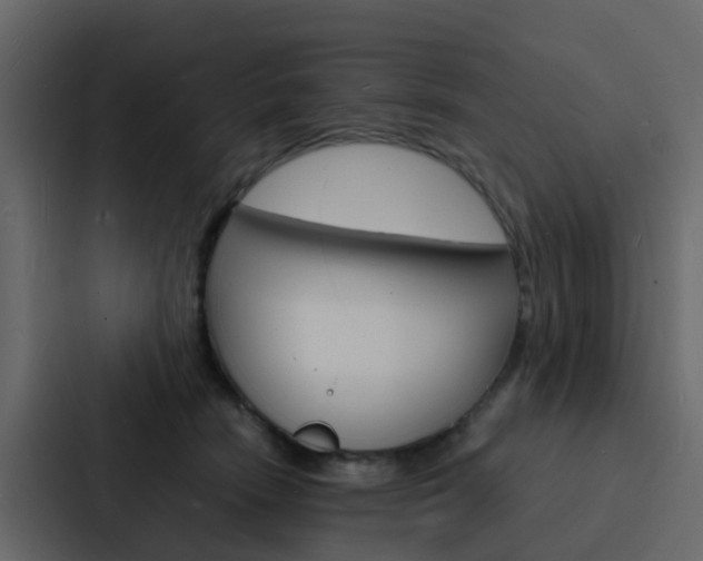 X0000088130466200705141001