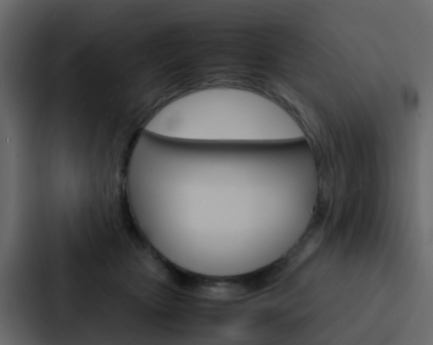 X0000088130467200705141001