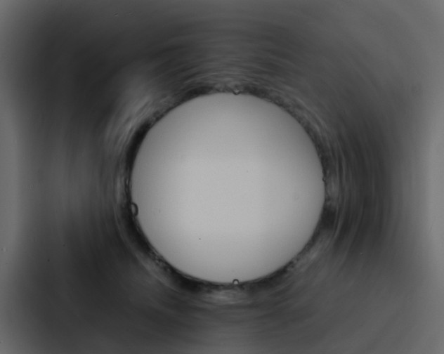 X0000088130468200705141001