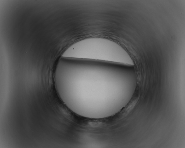 X0000088130470200705141001
