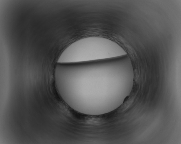 X0000088130471200705141001