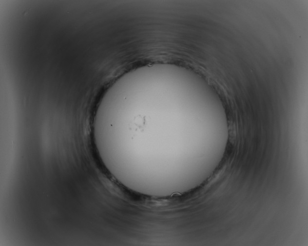 X0000088130472200705141001