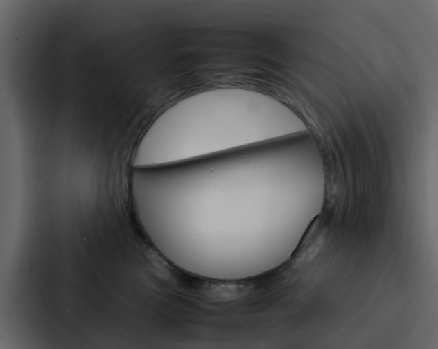 X0000088130473200705141001