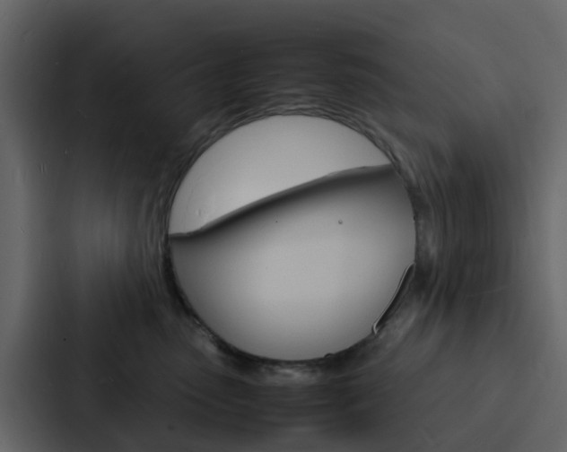 X0000088130475200705141001
