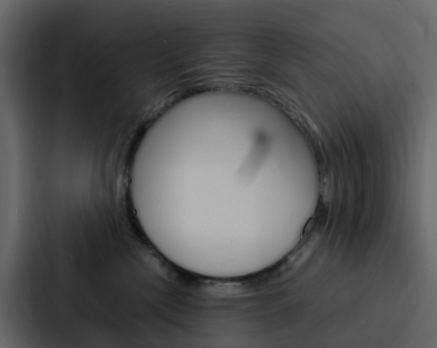 X0000088130476200705141001