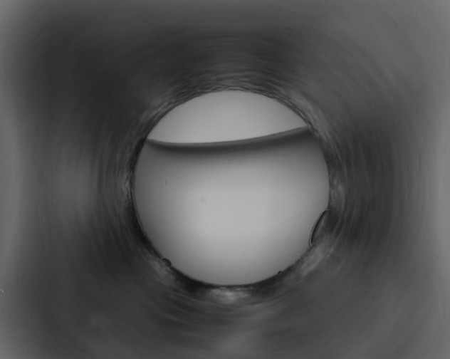 X0000088130477200705141001