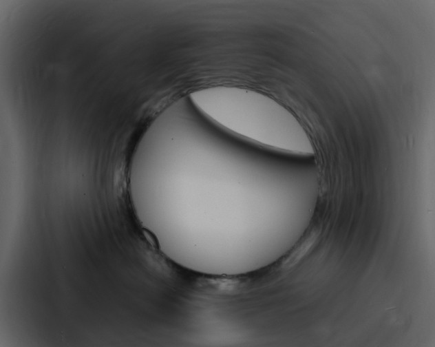 X0000088130478200705141001