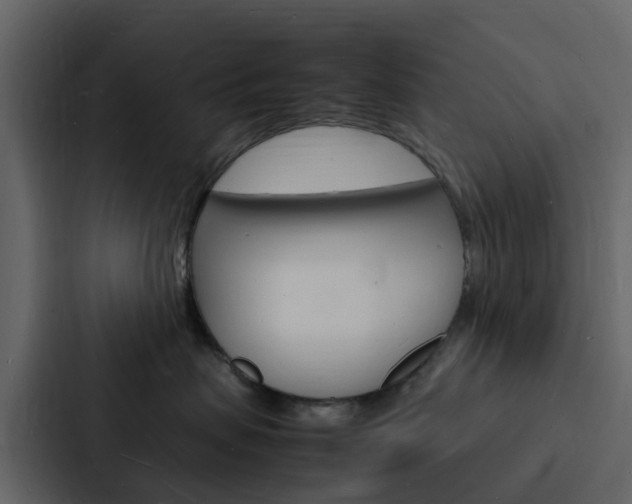 X0000088130479200705141001