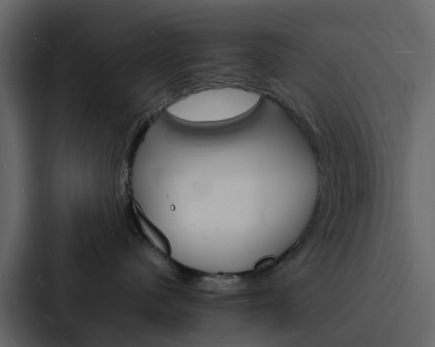 X0000088130480200705141001