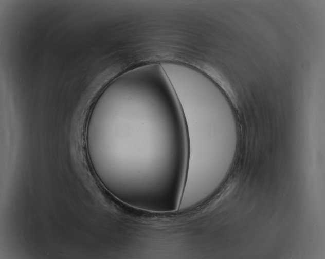 X0000088130481200705141000
