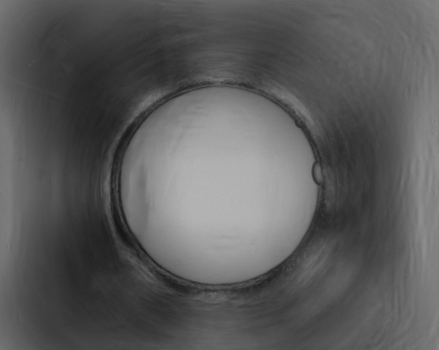 X0000088130482200705141000
