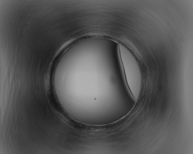 X0000088130484200705141000