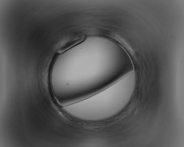X0000088130485200705141000