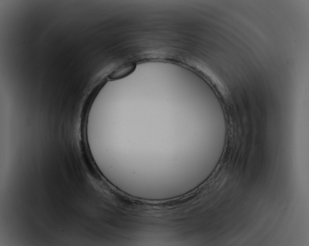 X0000088130486200705141000