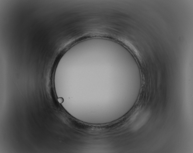 X0000088130487200705141000