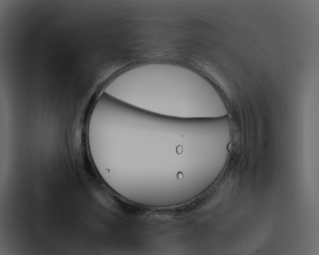 X0000088130491200705141000