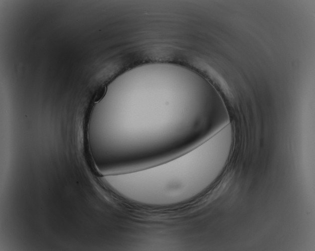 X0000088130493200705141000