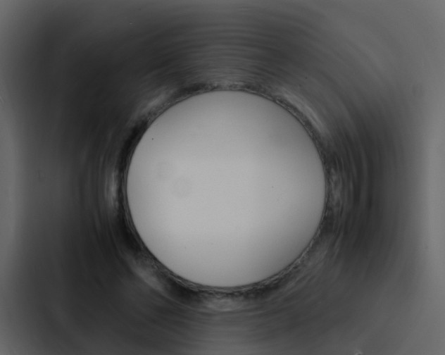 X0000088130494200705141000
