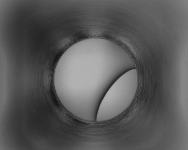 X0000088130495200705141000