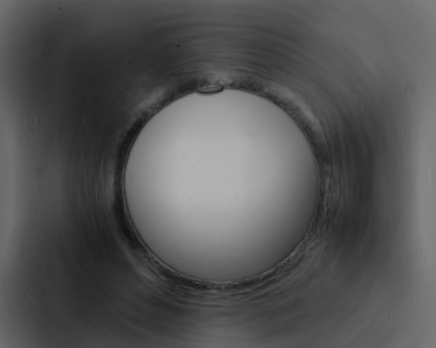 X0000088130496200705141000