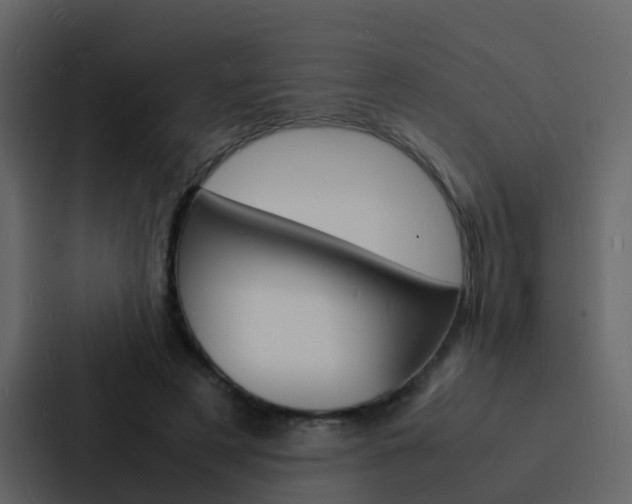 X0000088130497200705141000