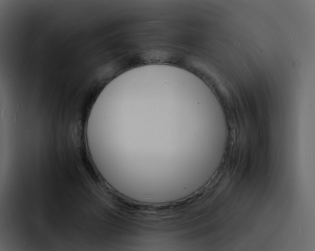 X0000088130498200705141000