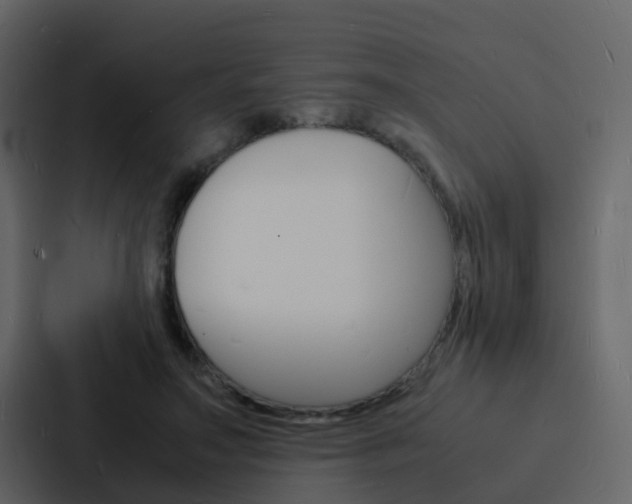 X0000088130499200705141000