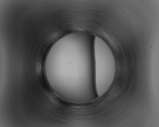 X0000088130500200705141000