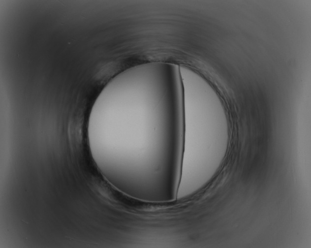 X0000088130501200705141000