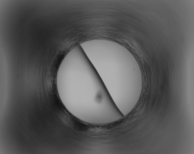 X0000088130503200705141000