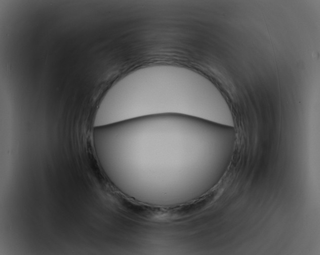 X0000088130504200705141000